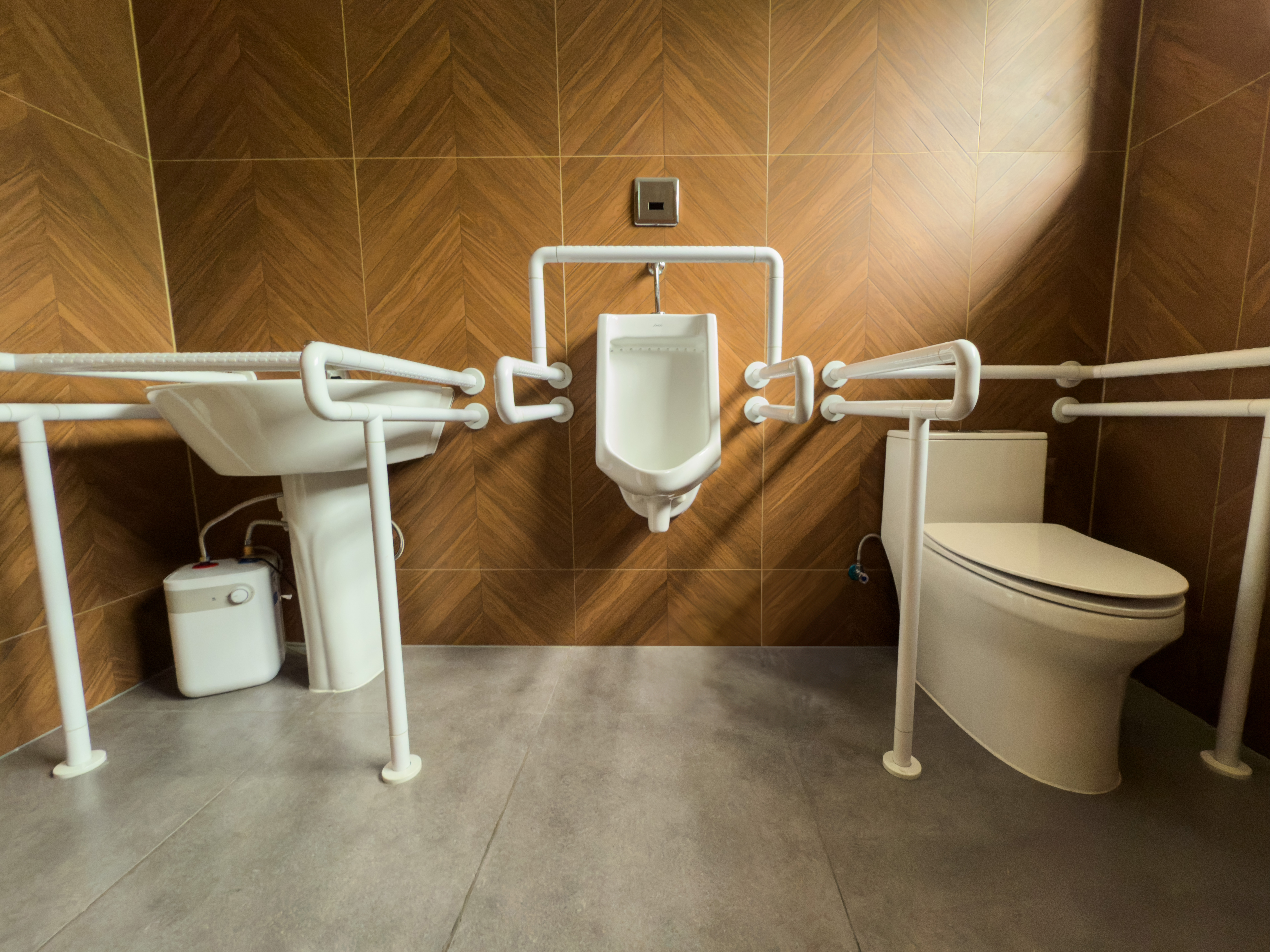 Modern Accessible Bathroom Design Featuring Grab Bars And Facilities